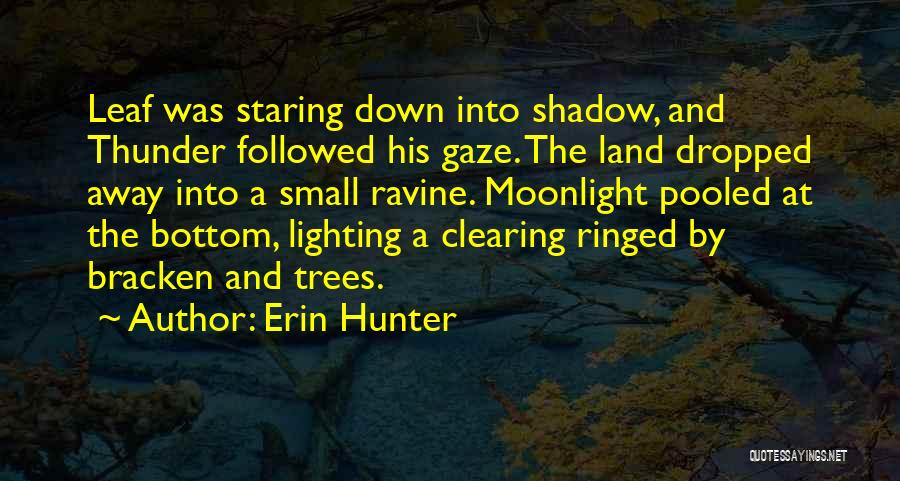 Followed Quotes By Erin Hunter