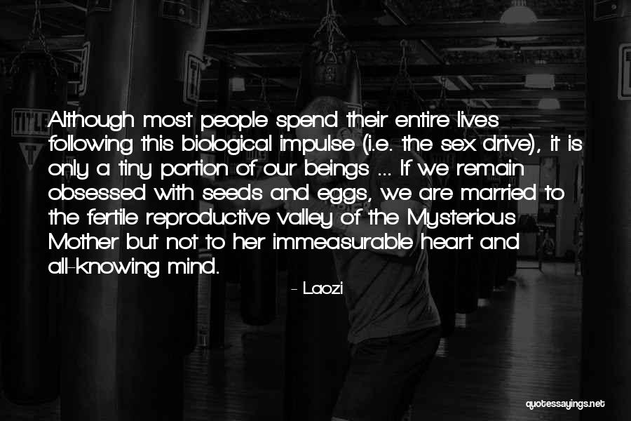 Following Your Heart Not Your Mind Quotes By Laozi Following Your Heart Not Your Mind Quotes By Laozi