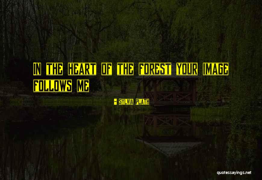 Follows Quotes By Sylvia Plath Follows Quotes By Sylvia Plath