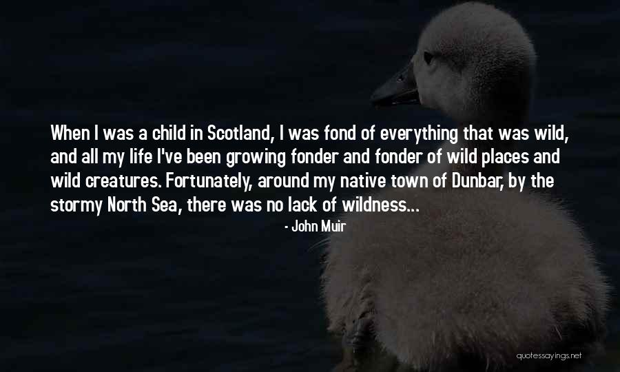 Followwill Jerry Quotes By John Muir Followwill Jerry Quotes By John Muir