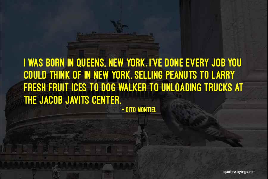 Fonctionnaires Quotes By Dito Montiel Fonctionnaires Quotes By Dito Montiel