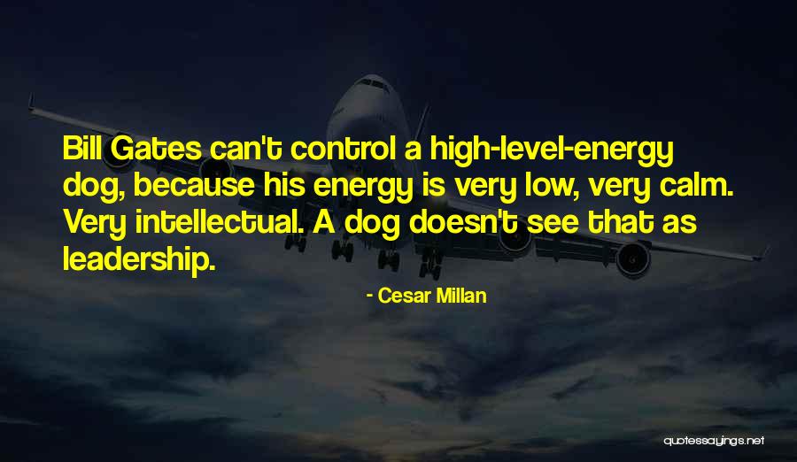 Fondasi Hidup Quotes By Cesar Millan Fondasi Hidup Quotes By Cesar Millan