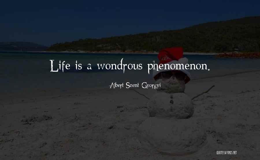 Fondatoarea Quotes By Albert Szent-Gyorgyi Fondatoarea Quotes By Albert Szent-Gyorgyi