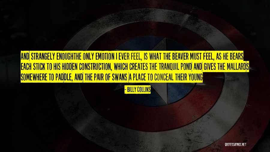 Fonpa Nike Quotes By Billy Collins Fonpa Nike Quotes By Billy Collins