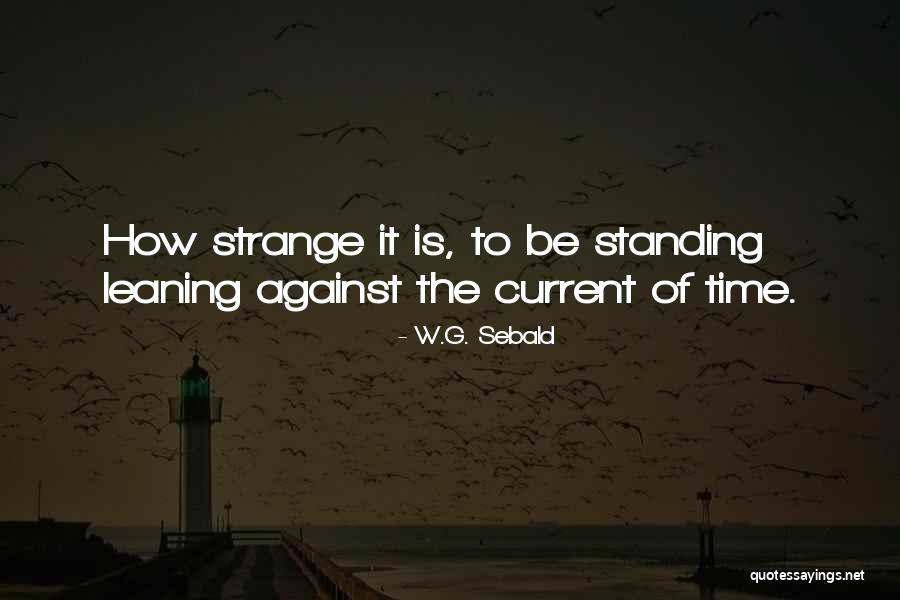 Fontal Quotes By W.G. Sebald
