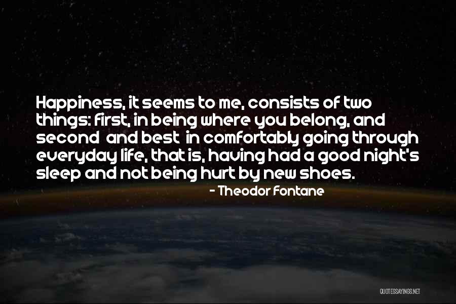 Fontane Quotes By Theodor Fontane