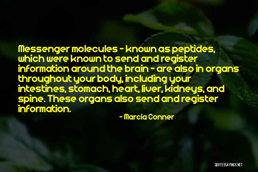 Fontbonne Email Quotes By Marcia Conner Fontbonne Email Quotes By Marcia Conner