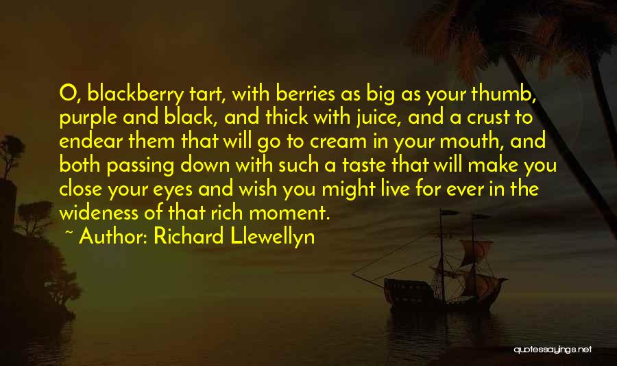 Food And Happiness Quotes By Richard Llewellyn