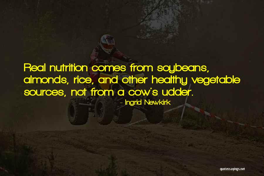 Food And Nutrition Quotes By Ingrid Newkirk Food And Nutrition Quotes By Ingrid Newkirk