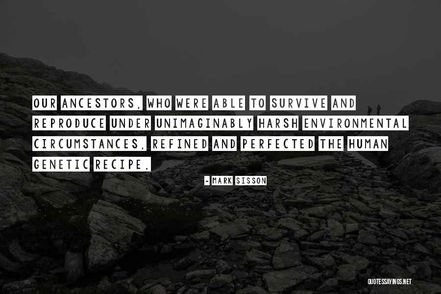 Food And Nutrition Quotes By Mark Sisson Food And Nutrition Quotes By Mark Sisson