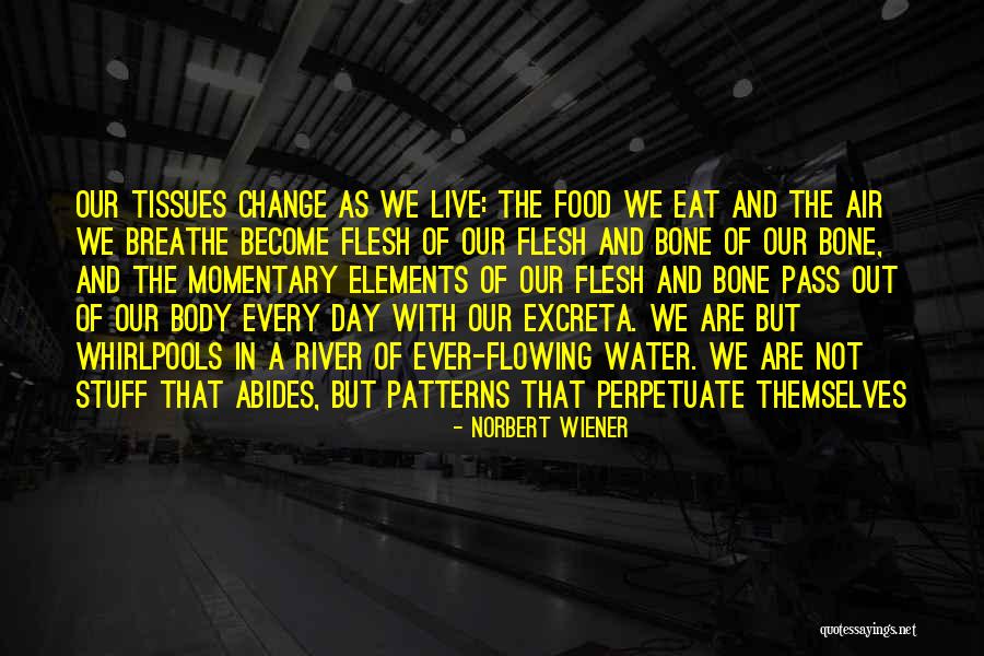 Food And Water Quotes By Norbert Wiener Food And Water Quotes By Norbert Wiener