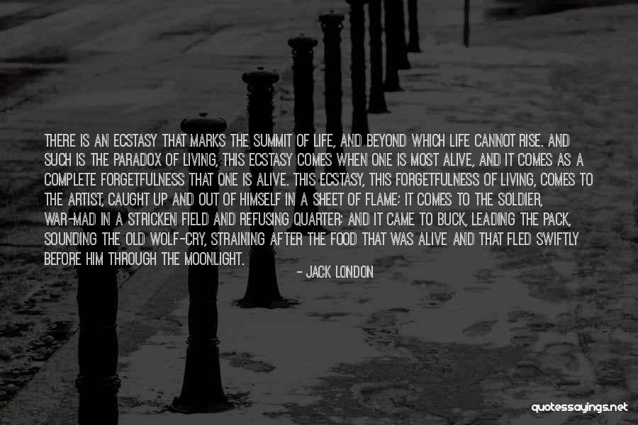 Food Artist Quotes By Jack London Food Artist Quotes By Jack London