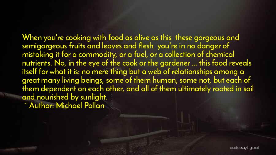 Food As Fuel Quotes By Michael Pollan