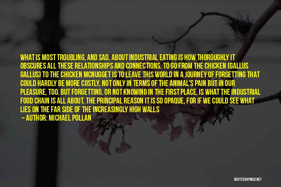 Food Chain Quotes By Michael Pollan