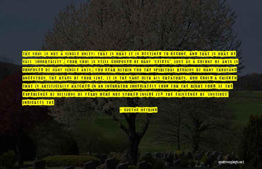 Food For The Soul Quotes By Gustav Meyrink Food For The Soul Quotes By Gustav Meyrink