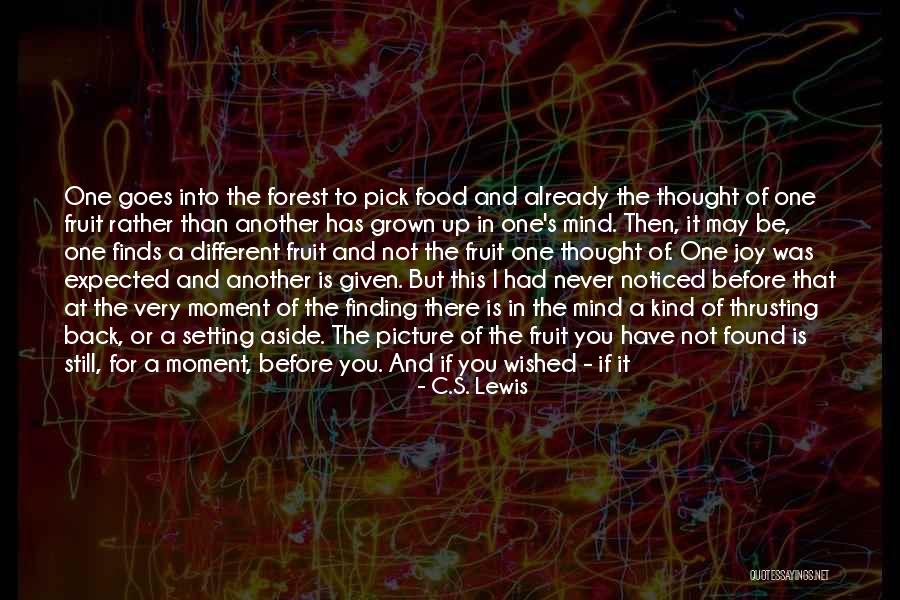 Food For Your Soul Quotes By C.S. Lewis