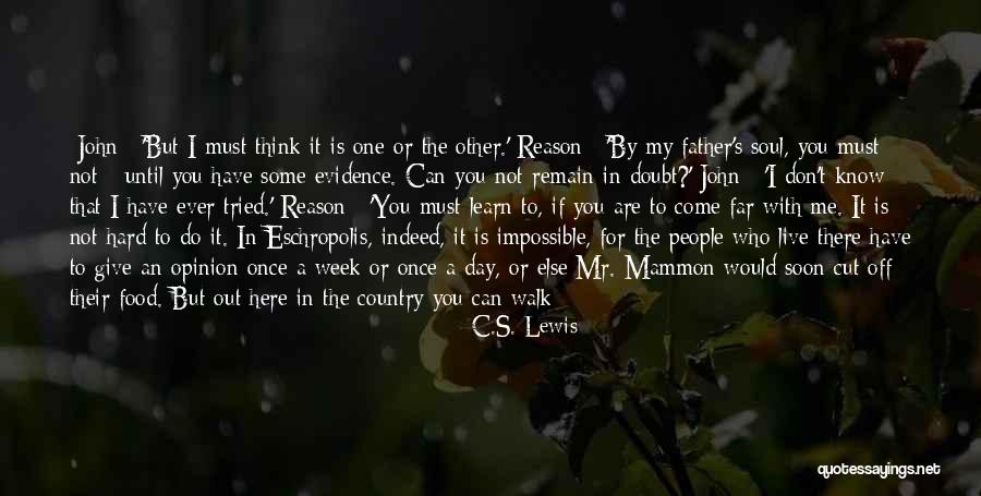 Food For Your Soul Quotes By C.S. Lewis