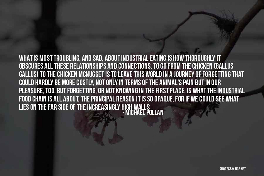 Food Industry Quotes By Michael Pollan