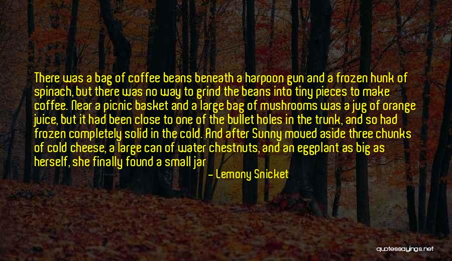 Food Ingredient Quotes By Lemony Snicket