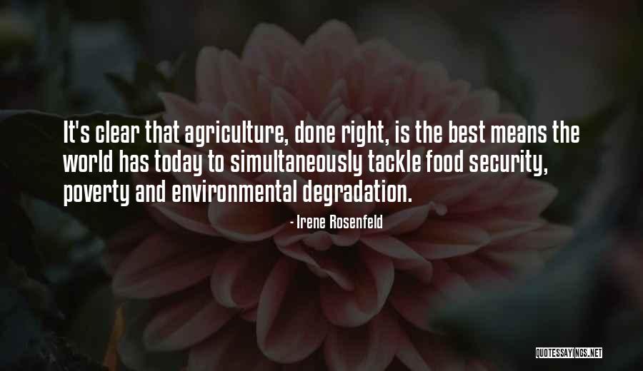 Food Is The Best Quotes By Irene Rosenfeld Food Is The Best Quotes By Irene Rosenfeld