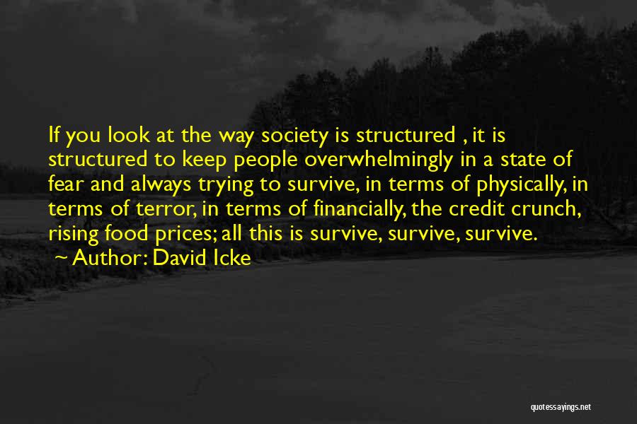 Food Prices Quotes By David Icke