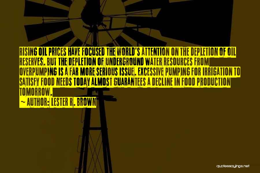 Food Prices Quotes By Lester R. Brown