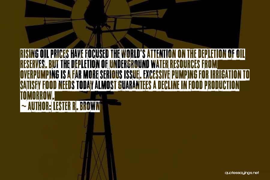 Food Production Quotes By Lester R. Brown