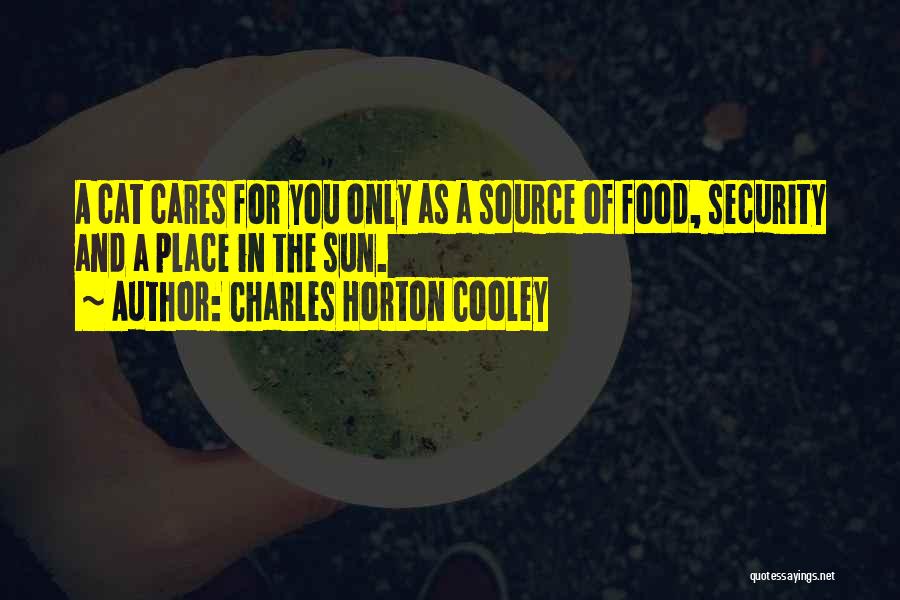 Food Security Quotes By Charles Horton Cooley