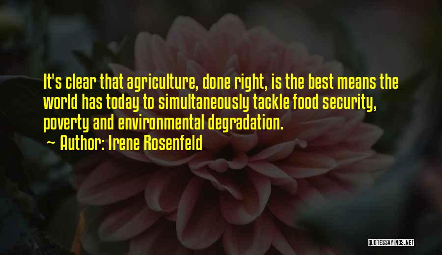 Food Security Quotes By Irene Rosenfeld