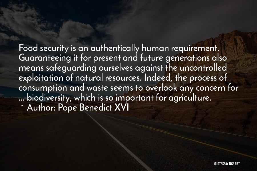 Food Security Quotes By Pope Benedict XVI