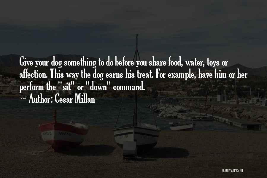 Food Share Quotes By Cesar Millan Food Share Quotes By Cesar Millan