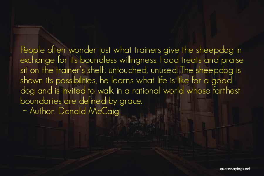 Food Shelf Quotes By Donald McCaig