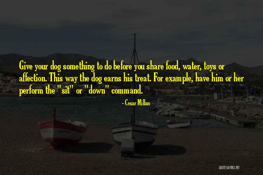 Food Treat Quotes By Cesar Millan