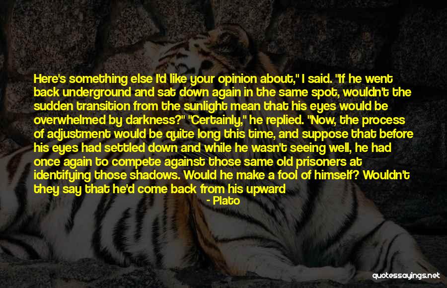 Fool Anyone Quotes By Plato Fool Anyone Quotes By Plato