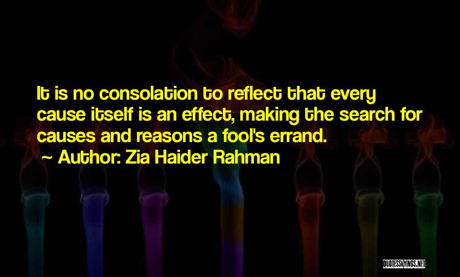 Fool Errand Quotes By Zia Haider Rahman