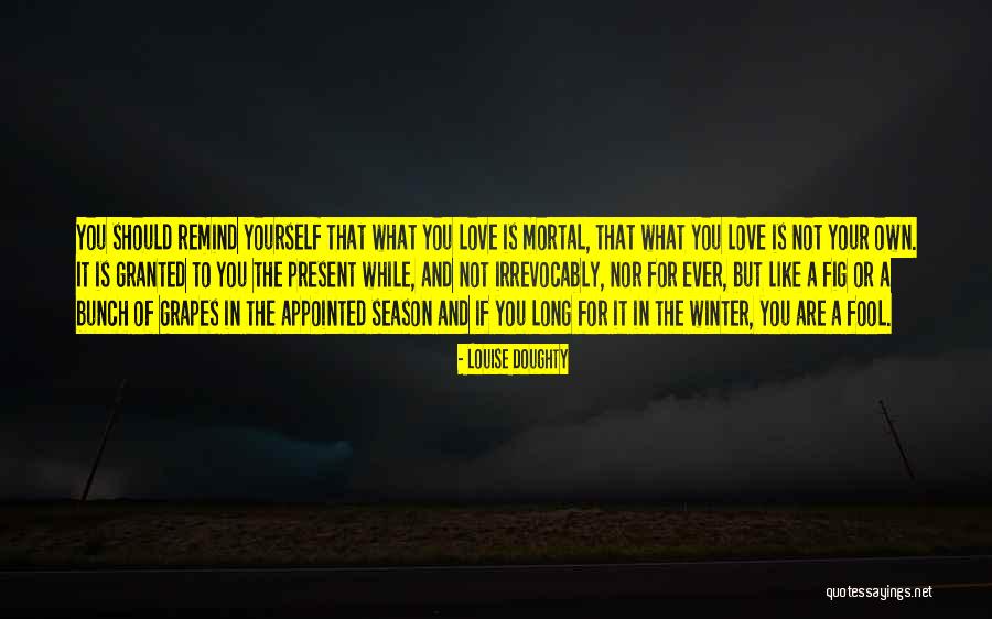 Fool Of Yourself Quotes By Louise Doughty Fool Of Yourself Quotes By Louise Doughty