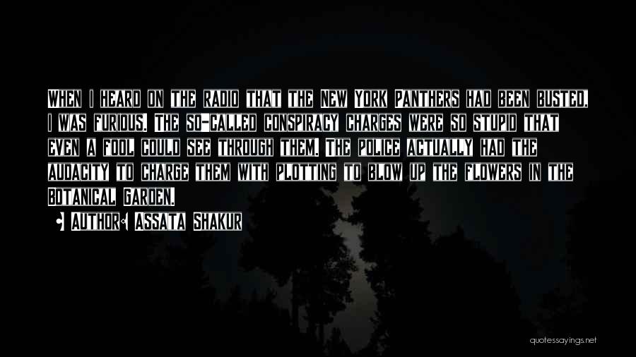 Fool Quotes By Assata Shakur