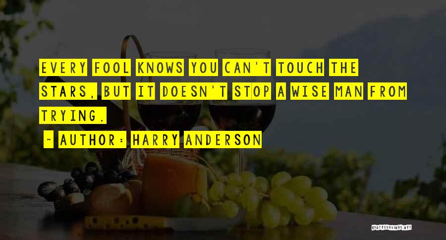 Fool Quotes By Harry Anderson