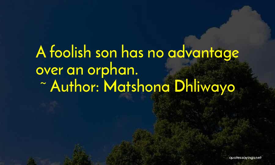 Fool Quotes By Matshona Dhliwayo