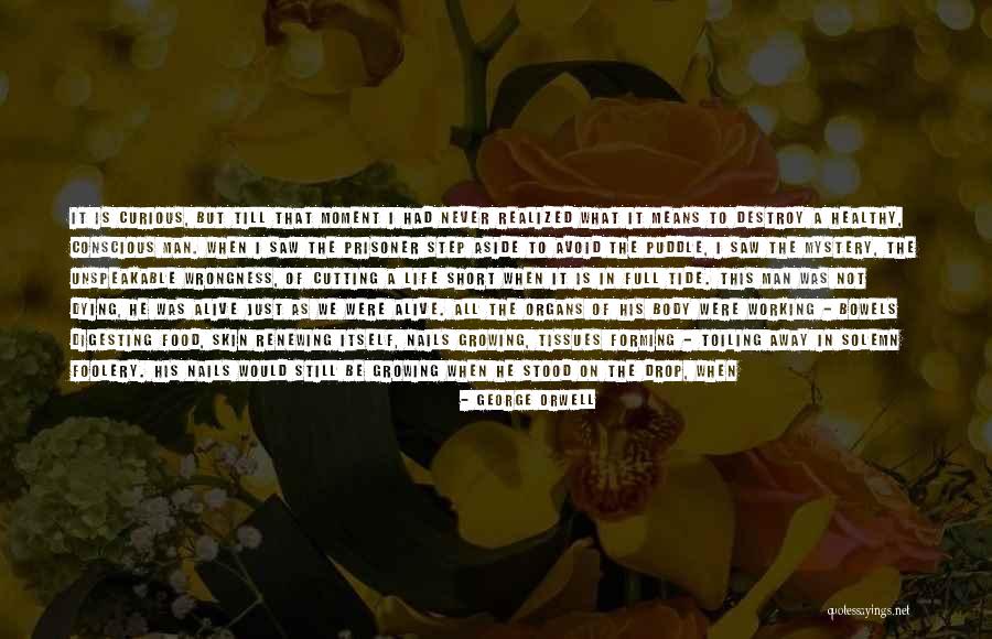 Foolery Quotes By George Orwell Foolery Quotes By George Orwell