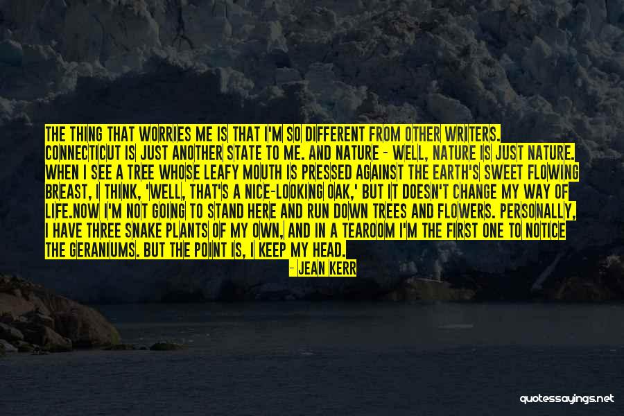 Foolhardily Def Quotes By Jean Kerr Foolhardily Def Quotes By Jean Kerr