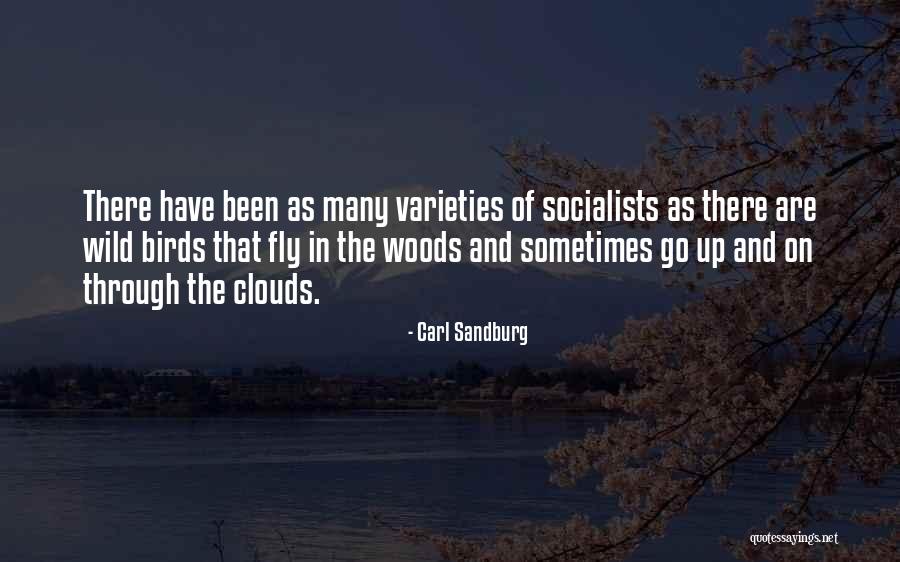 Fooligan Merch Quotes By Carl Sandburg Fooligan Merch Quotes By Carl Sandburg