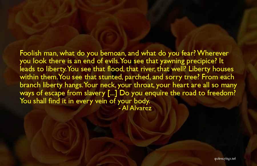 Foolish Heart Quotes By Al Alvarez Foolish Heart Quotes By Al Alvarez