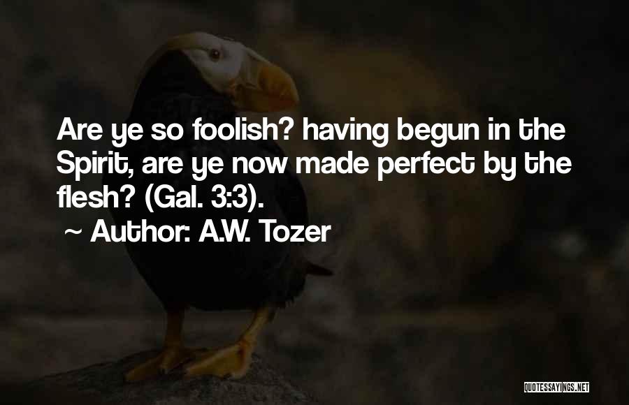 Foolish Quotes By A.W. Tozer