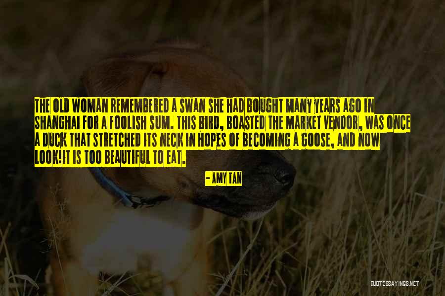 Foolish Woman Quotes By Amy Tan Foolish Woman Quotes By Amy Tan