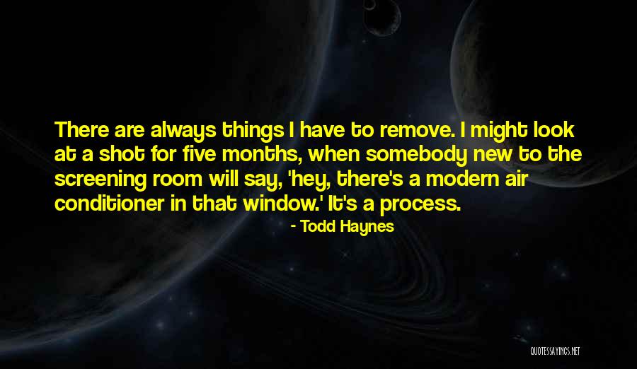 Foolscap Sheets Quotes By Todd Haynes Foolscap Sheets Quotes By Todd Haynes