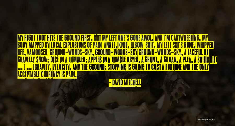 Foot And Ankle Quotes By David Mitchell