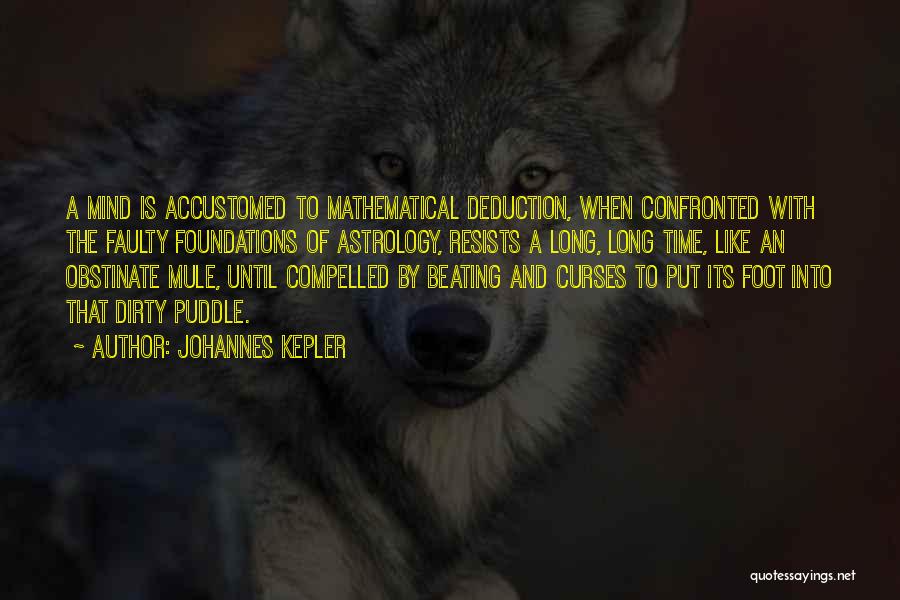 Foot Feet Quotes By Johannes Kepler