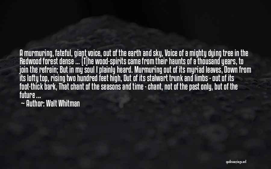 Foot Feet Quotes By Walt Whitman