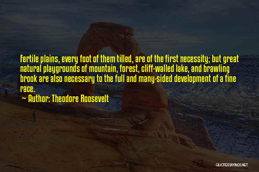 Foot Race Quotes By Theodore Roosevelt